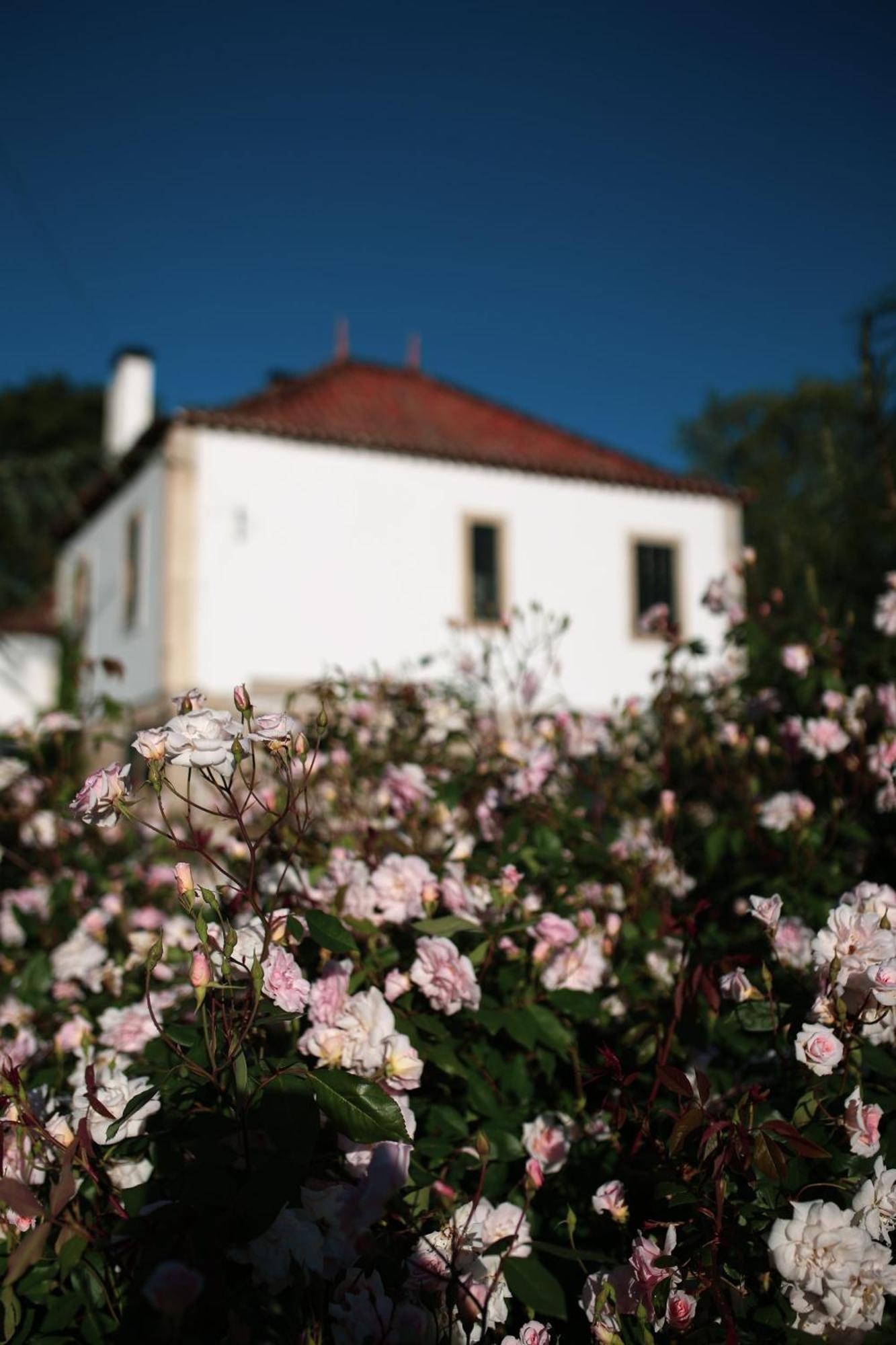 Lugar Da Pedra Alta - B&B - Private Historical Villa Melo Zewnętrze zdjęcie
