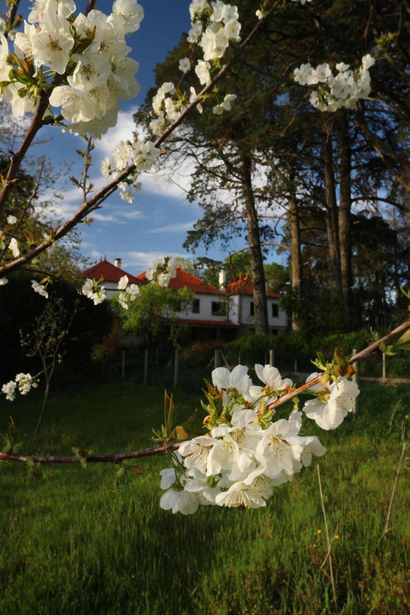 Lugar Da Pedra Alta - B&B - Private Historical Villa Melo Zewnętrze zdjęcie
