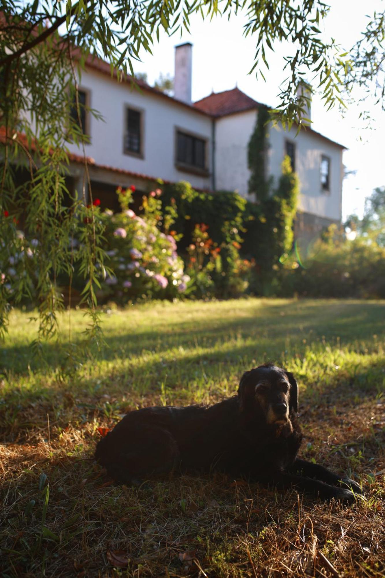 Lugar Da Pedra Alta - B&B - Private Historical Villa Melo Zewnętrze zdjęcie
