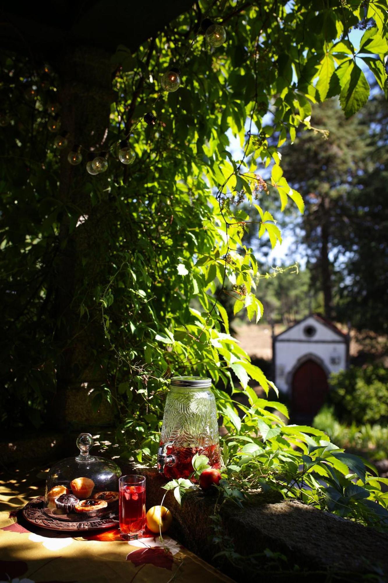 Lugar Da Pedra Alta - B&B - Private Historical Villa Melo Zewnętrze zdjęcie